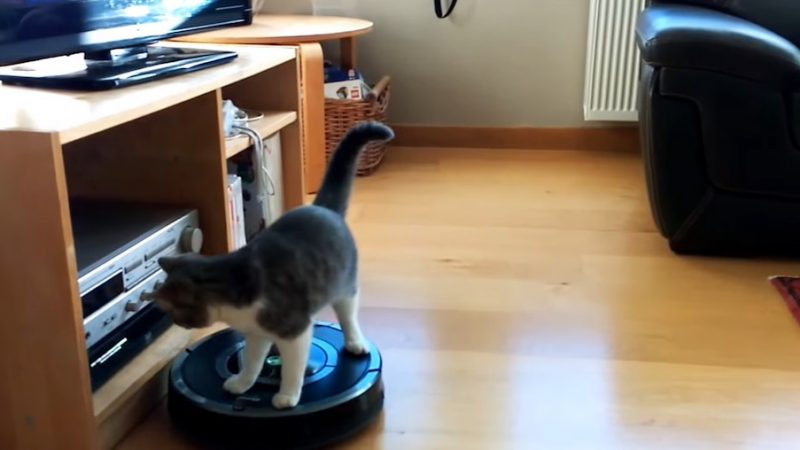 Première utilisation de mon aspirateur Roomba